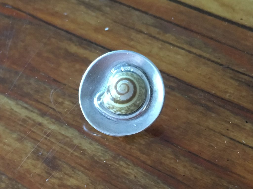 Schnecke auf Silber