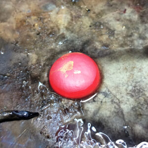 Upcycling: Brosche zu Ring 5 Brosche zu ring4 300x300 1