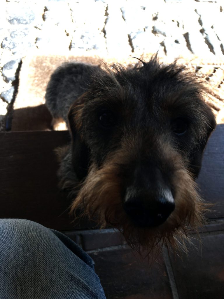 Upcycling für's Fernsehen - Hallo Schatz! 3 eine der vielen guten Seelen am Set