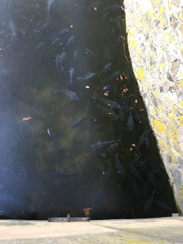 Upcycling für's Fernsehen - Hallo Schatz! 13 Wassergraben