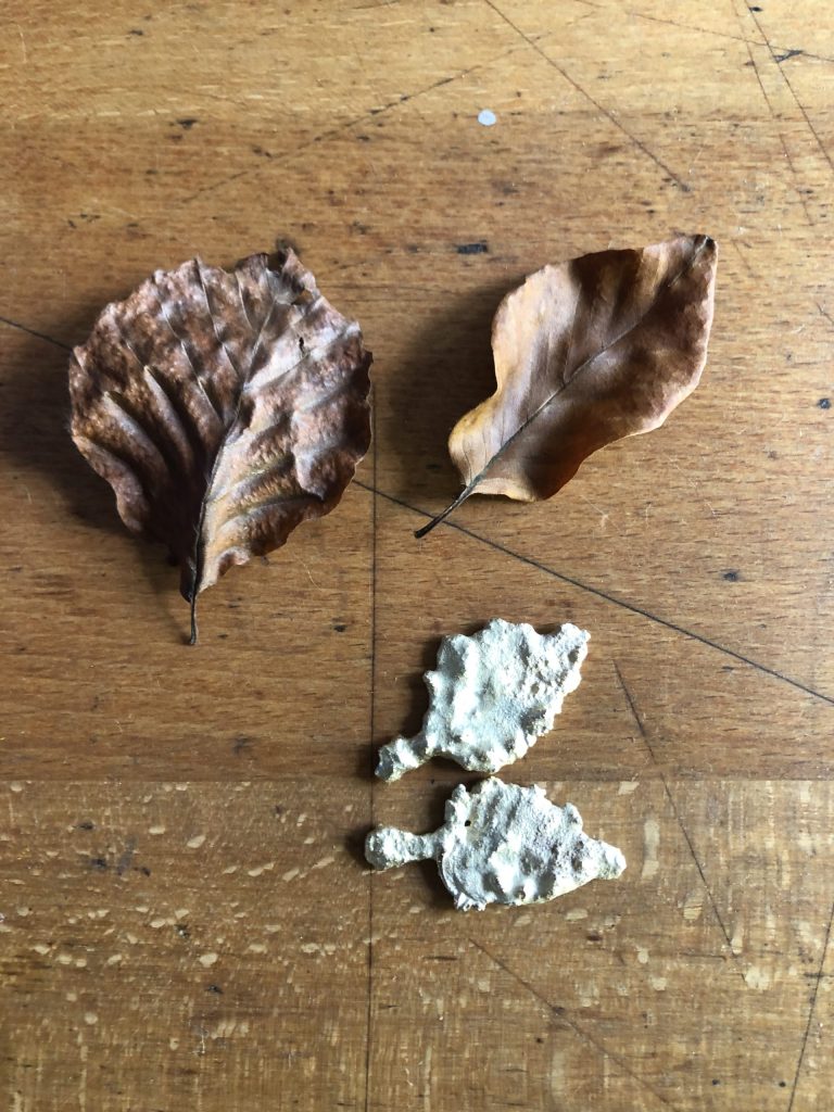 Buchenblätter 3 geschmolzene Blätter