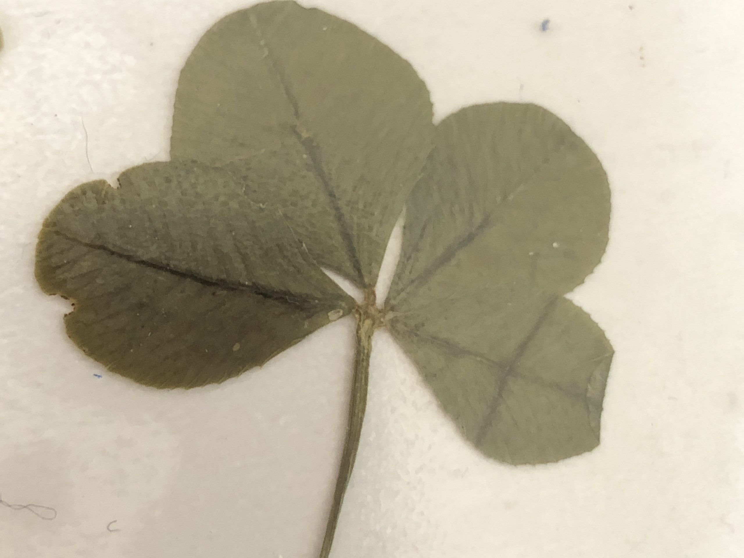 Aus gegebenem Anlass 1 image 1 scaled e1584545383242