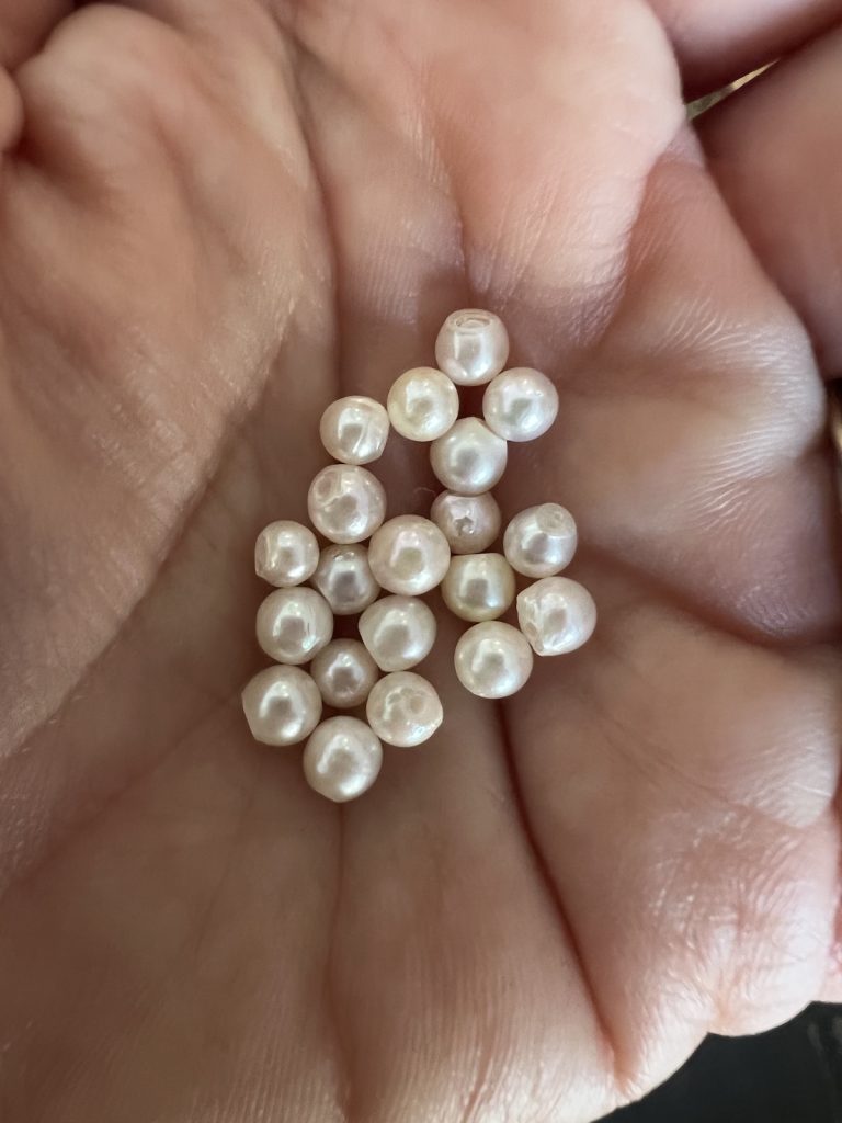 Kleine Perlenkunde (Teil2) 5 Akoya-Zuchtperlen