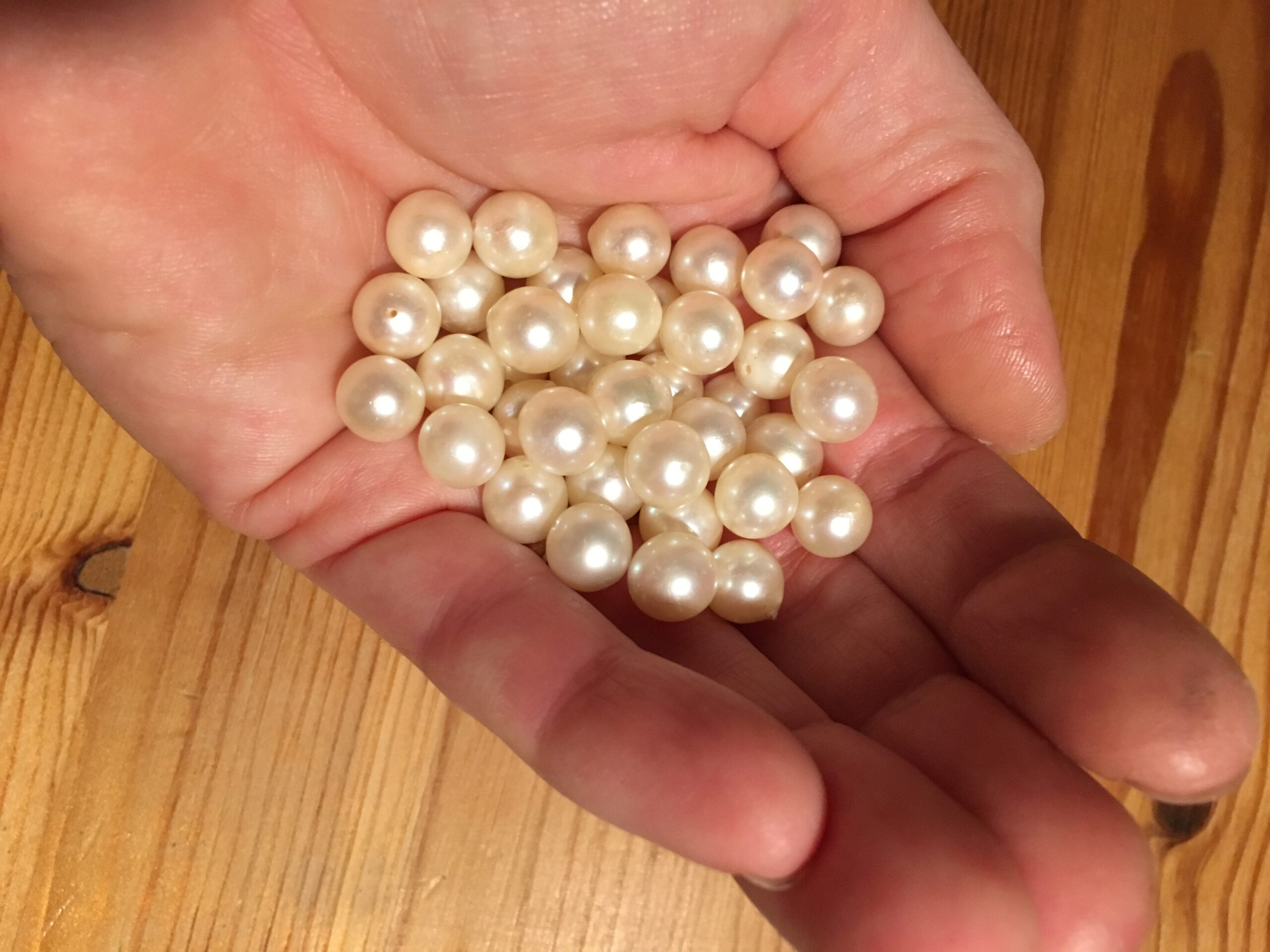 Zuchtperlen, bereit zu allen möglichen Kreationen