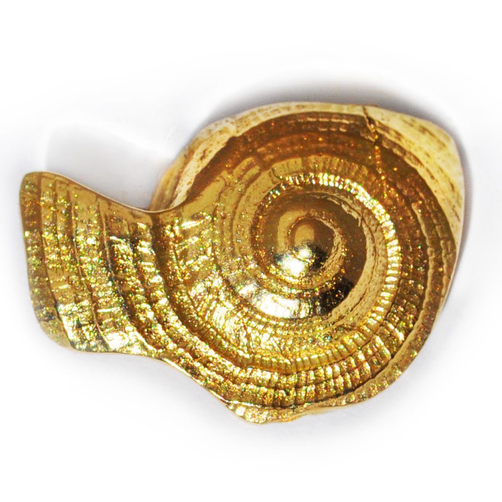 Eine Schnecke als Goldenes Reisetagebuch 3 Die Schnecke in Gold
