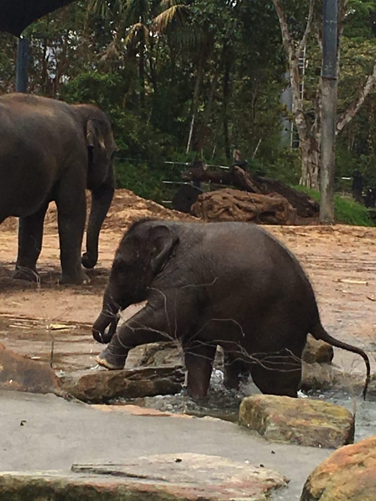 Eine Schnecke als Goldenes Reisetagebuch 6 IMG 0117 scaled 1