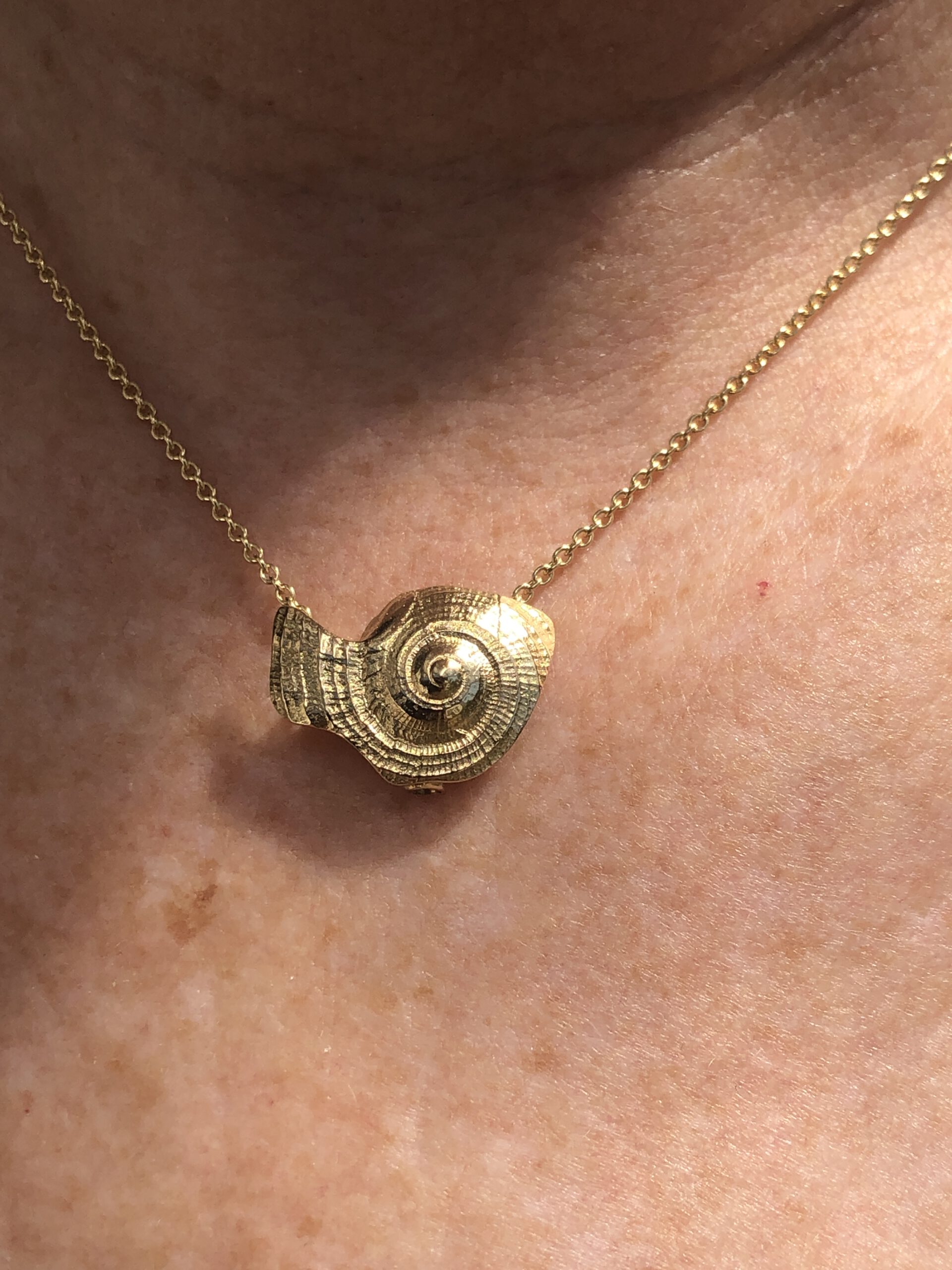 Eine Schnecke als Goldenes Reisetagebuch 5 Die Schnecke als goldenes Reisetagebuch