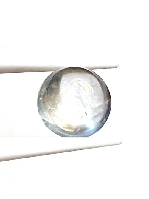 Aquamarin 10 Gross IMG 8398 500x667 1