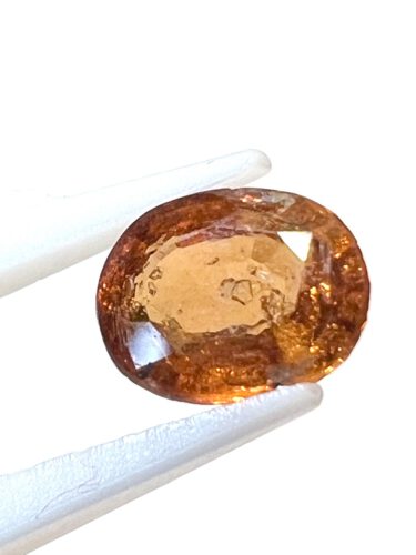 Gross IMG 8468 375x500 1