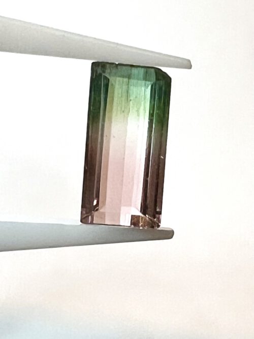 Turmalin 16 Gross IMG 8474 500x667 1