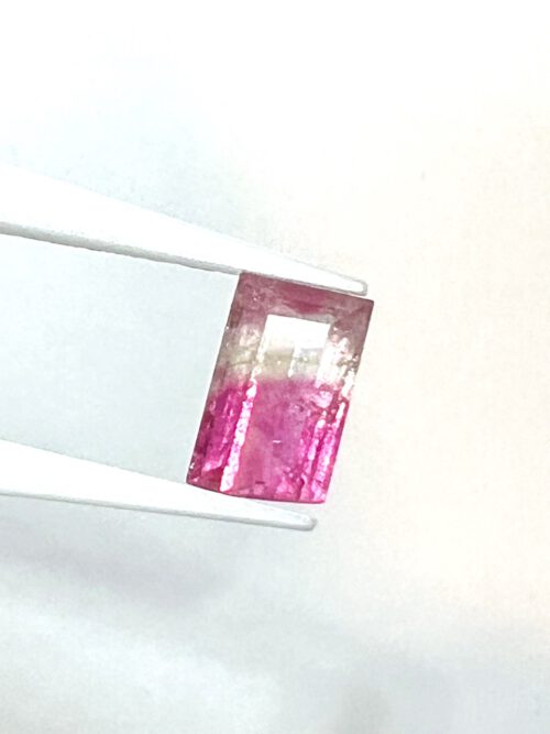 Turmalin 15 Gross IMG 8493 500x667 1