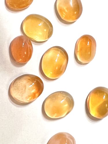 Opal 21 Gross IMG 8620 375x500 1