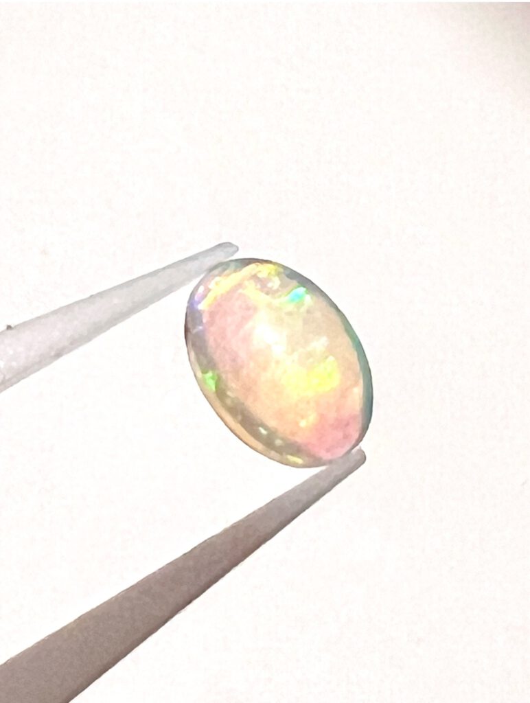 Opal 3 IMG 8650 772x1024 1