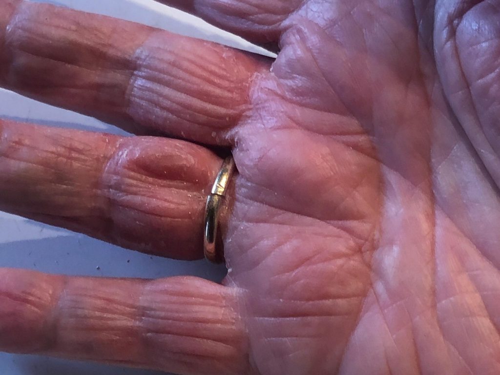 IMG 1554a 2048x1536 1