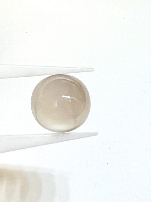 Mondstein 6 Gross IMG 8880 500x667 1