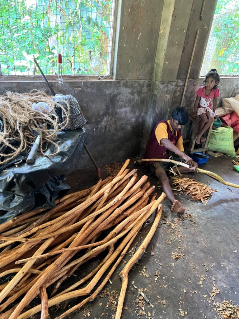 Fortbildung in Sri Lanka 10 Gross IMG 9719