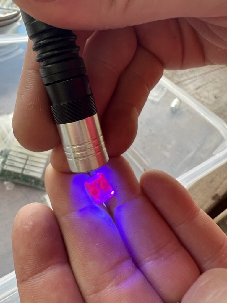 Hikkaduwa 7 Gross IMG 9732