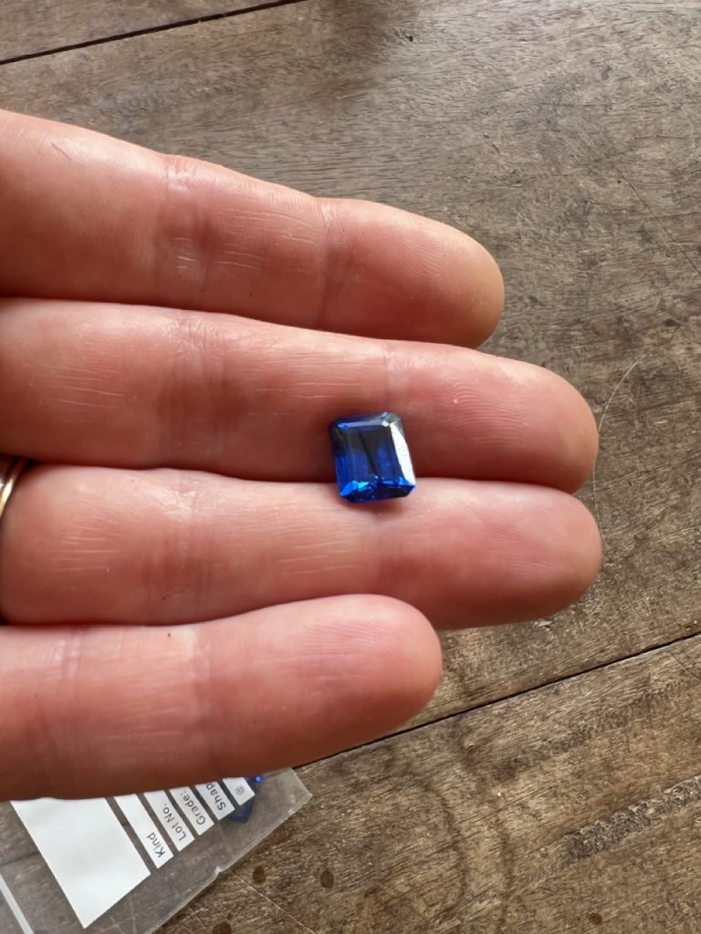 Hikkaduwa 6 Gross IMG 9733