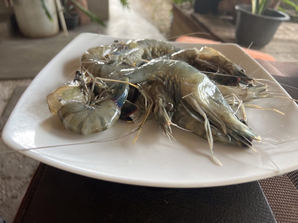 Meetiyagoda 22 Gross IMG 0158