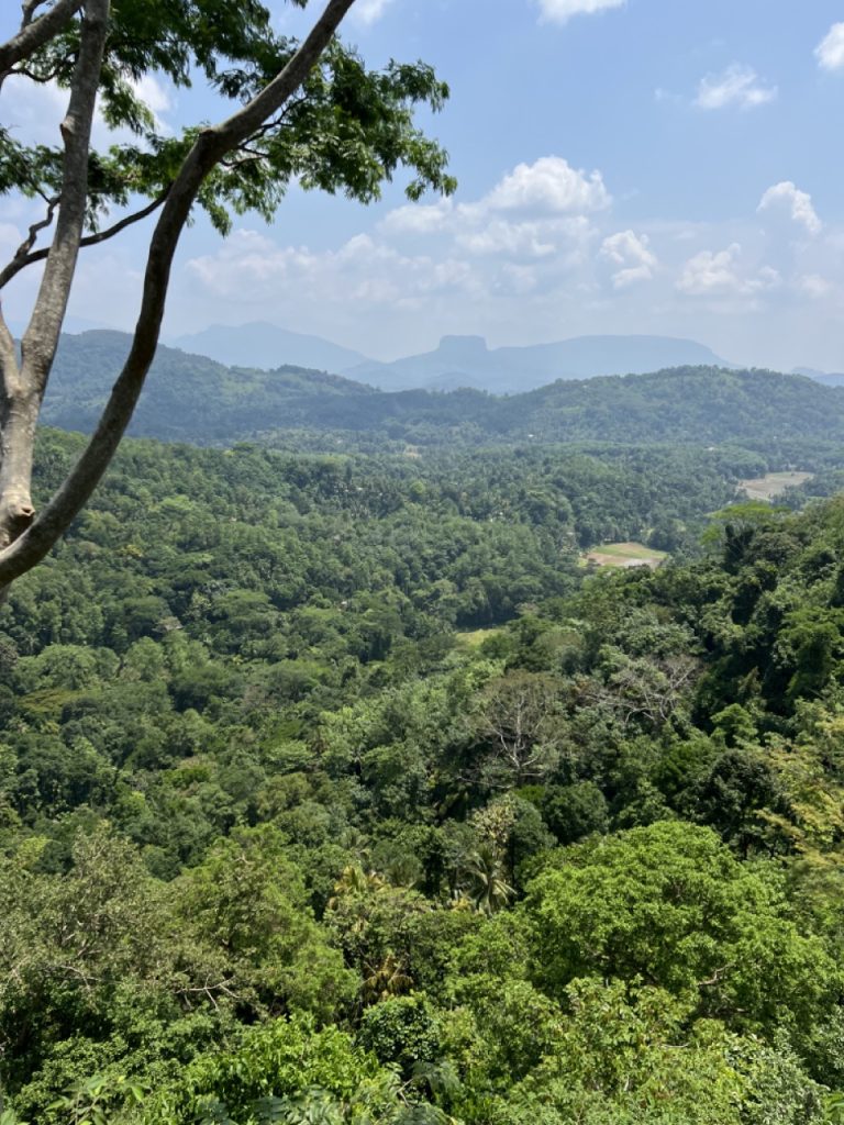 Ratnapura 30 Gross IMG 0893