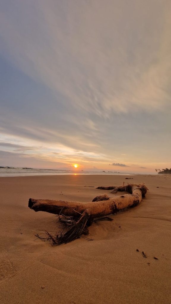 Meetiyagoda 21 Gross IMG 1401