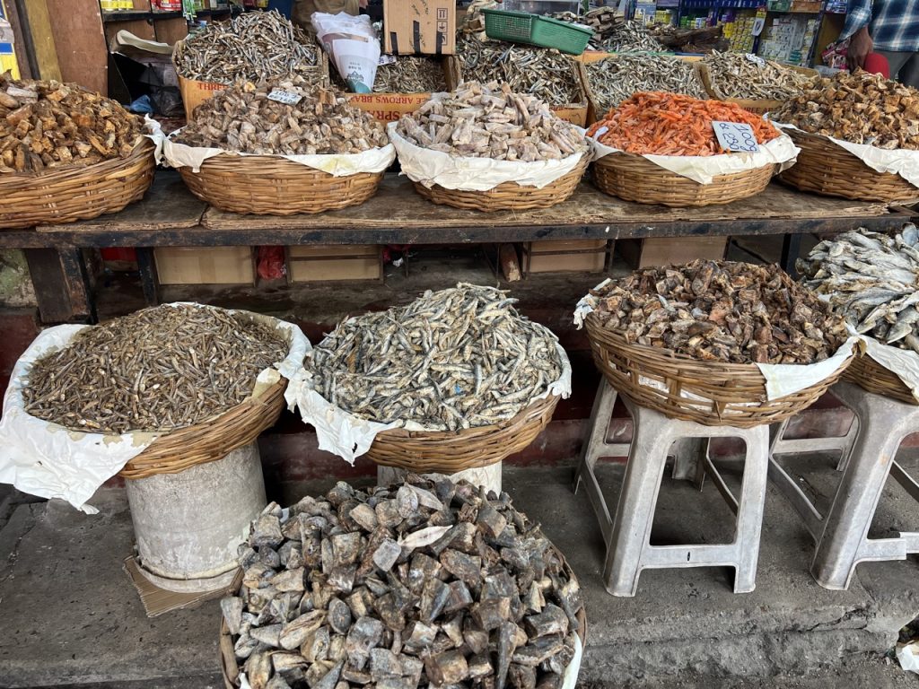 Ratnapura 17 Gross IMG 9910