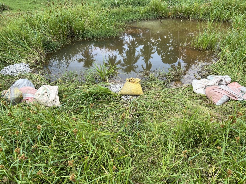 Ratnapura 21 Gross IMG 9952