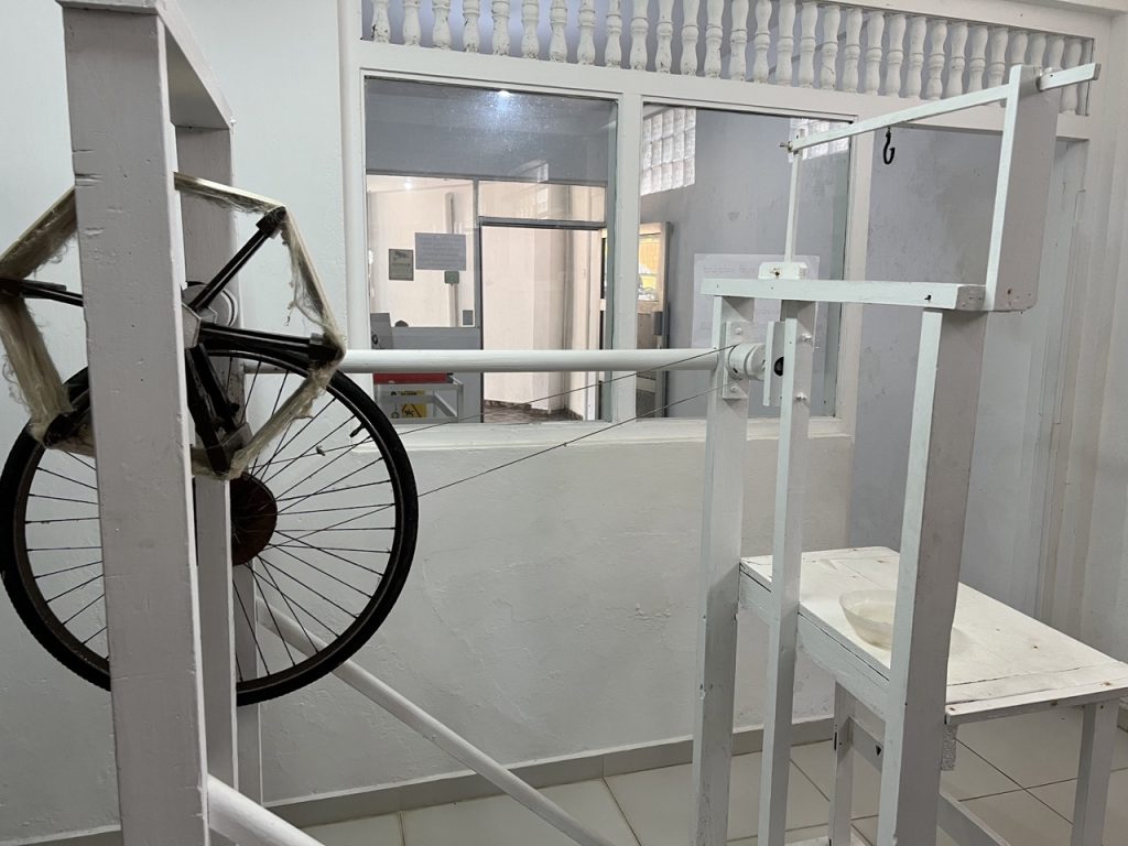 Galle 25 Gross IMG 0278