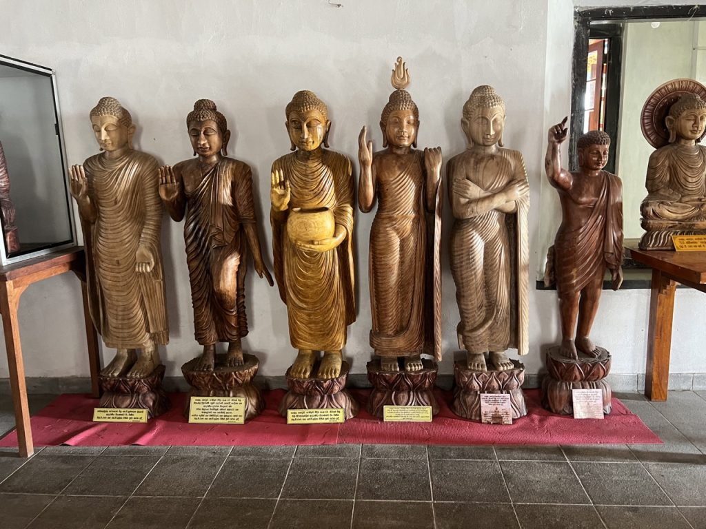 Galle 30 Gross IMG 0383