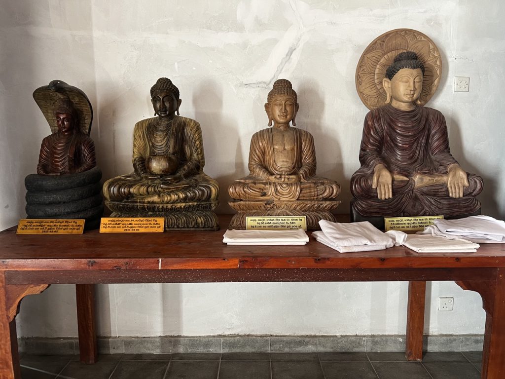 Galle 32 Gross IMG 0389