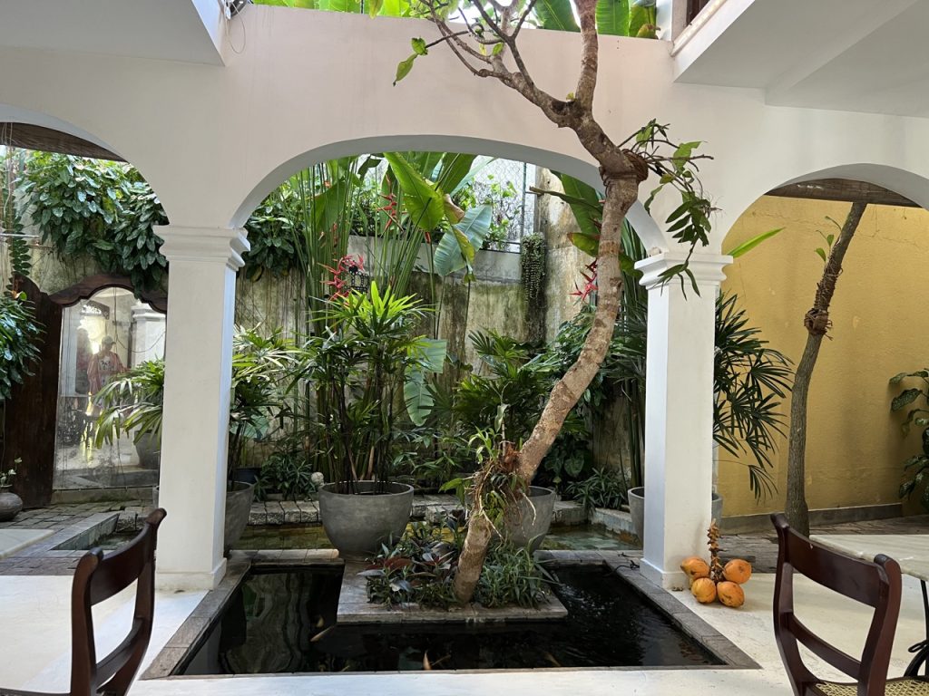 Galle 22 Gross IMG 0392