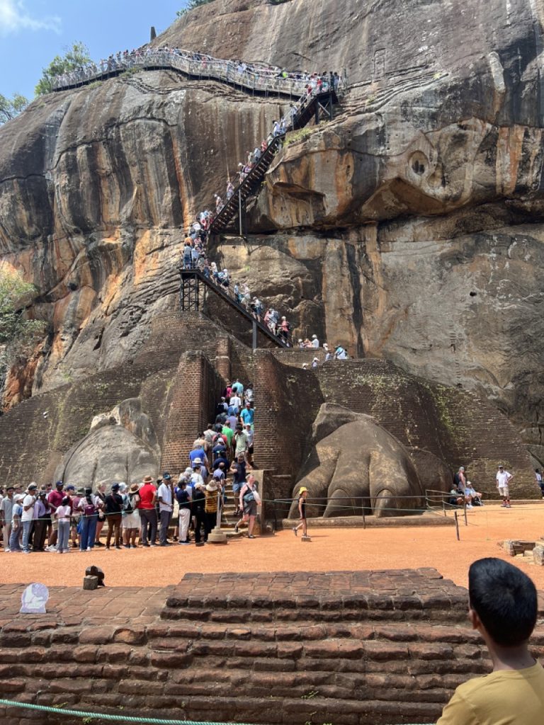 Kandy 14 Gross IMG 1014