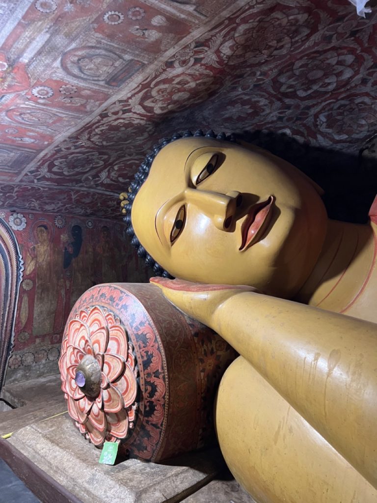 Kandy 20 Gross IMG 1353