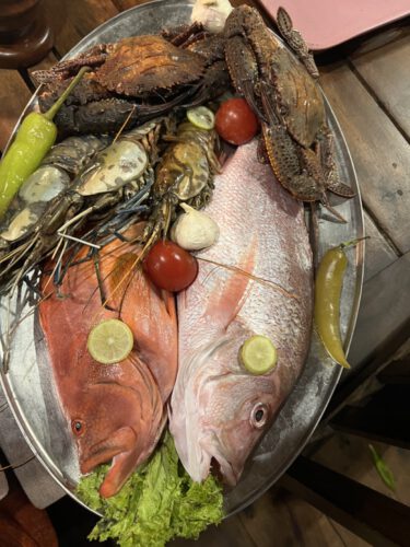 Meine Fortbildungen 24 Gross IMG 0238 375x500 1