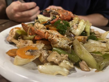 Meine Fortbildungen 25 Gross IMG 0241 465x349 1