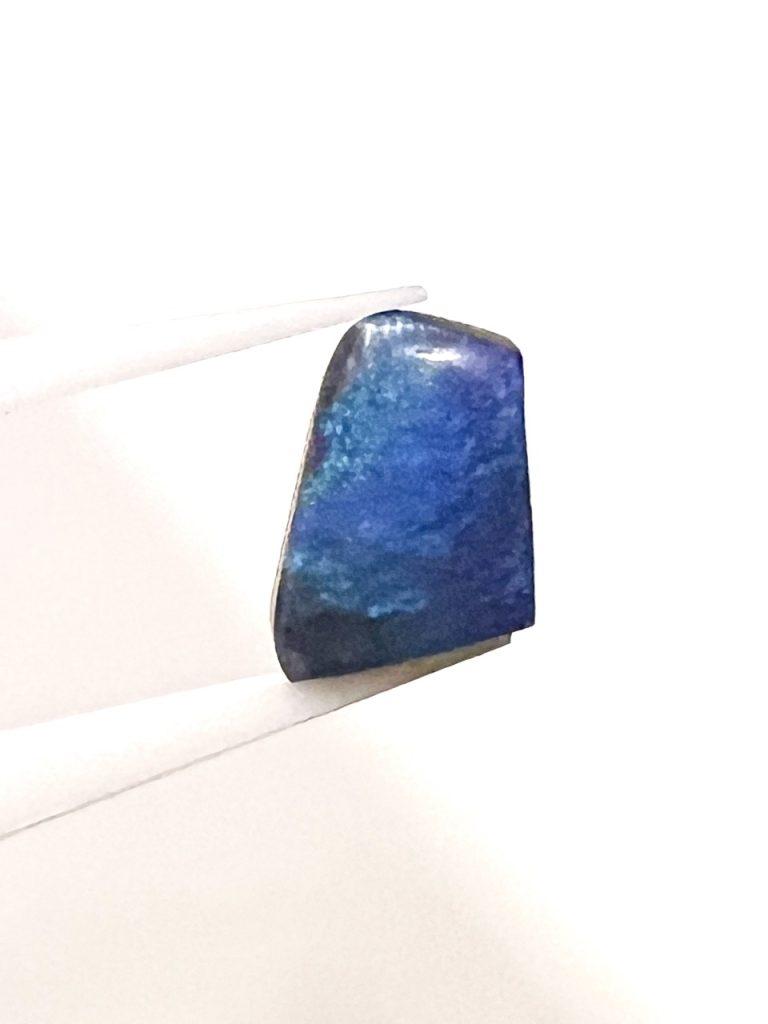 Opal 9 Gross IMG 8635