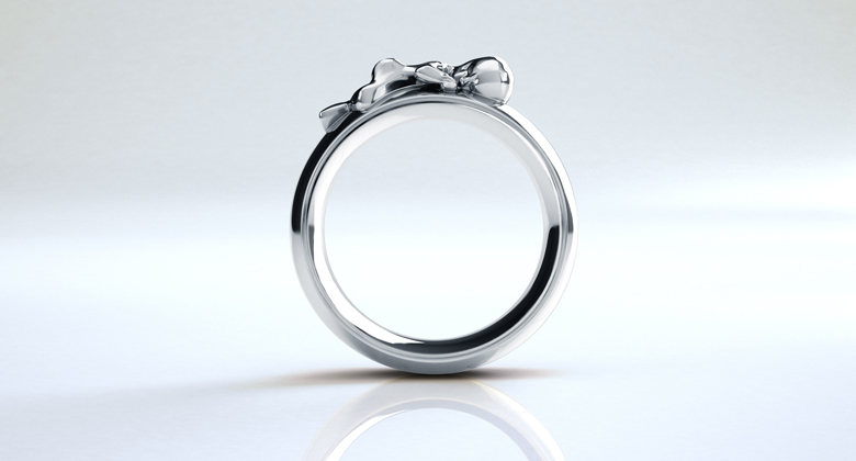 Ring Sam in Silber 1 Ring Sam in Silber