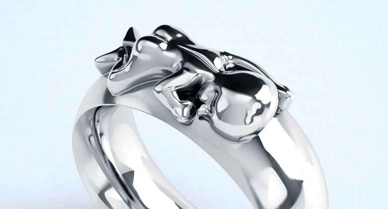 Ring Sam in Silber 2 Ring Sam in Silber – Bild 2