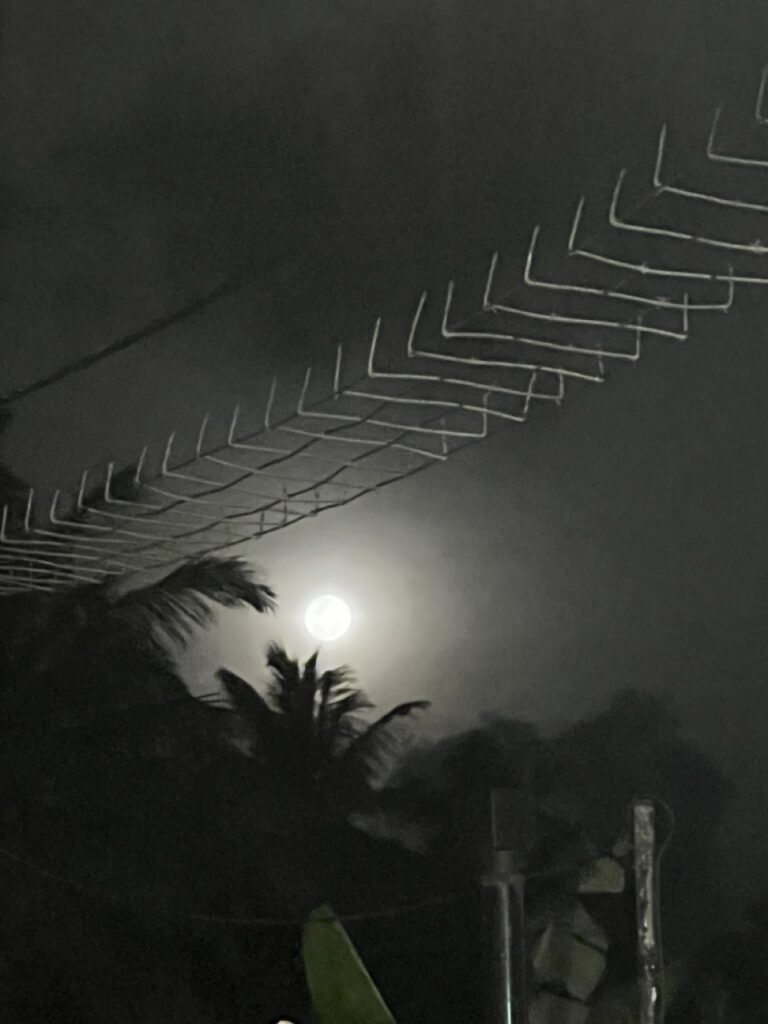 Poya day - Vollmond