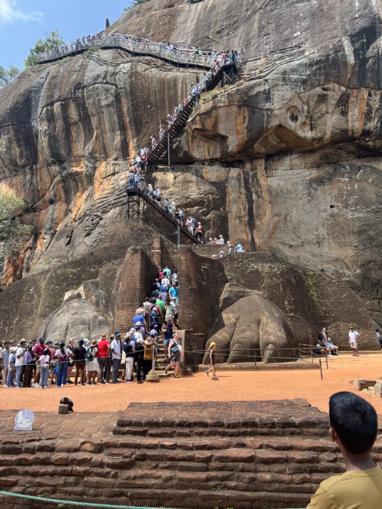 Ja, auch andere wollen den steilen Felsen rauf