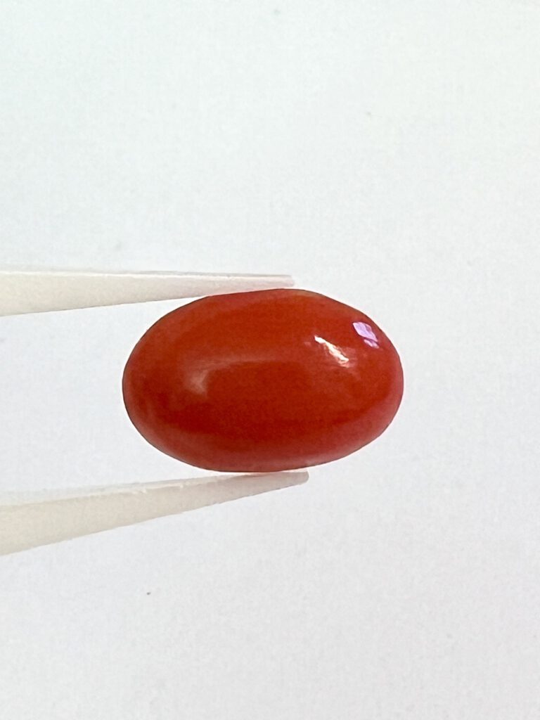 Koralle, Cabochon, oval