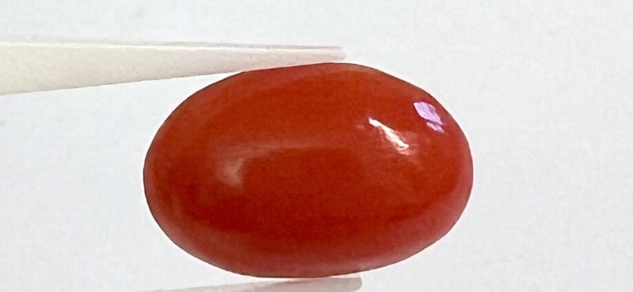 Koralle, Cabochon, oval