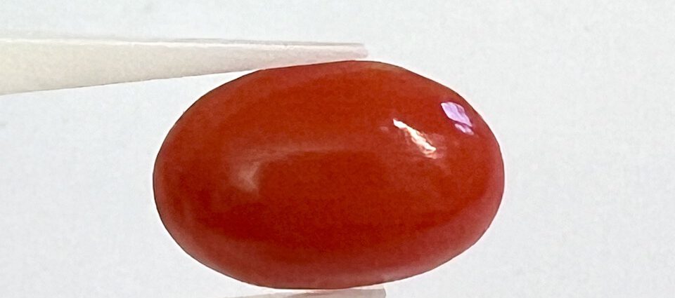 Koralle, Cabochon, oval