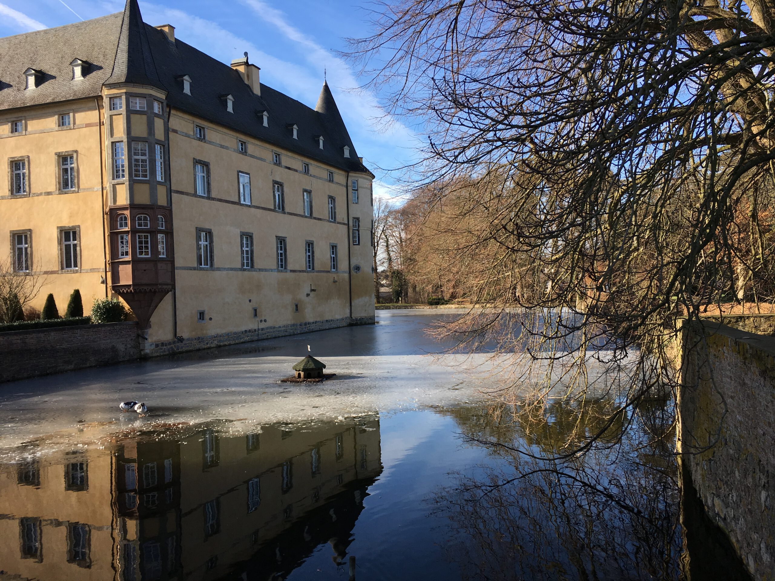 Burg Adendorf - Winter