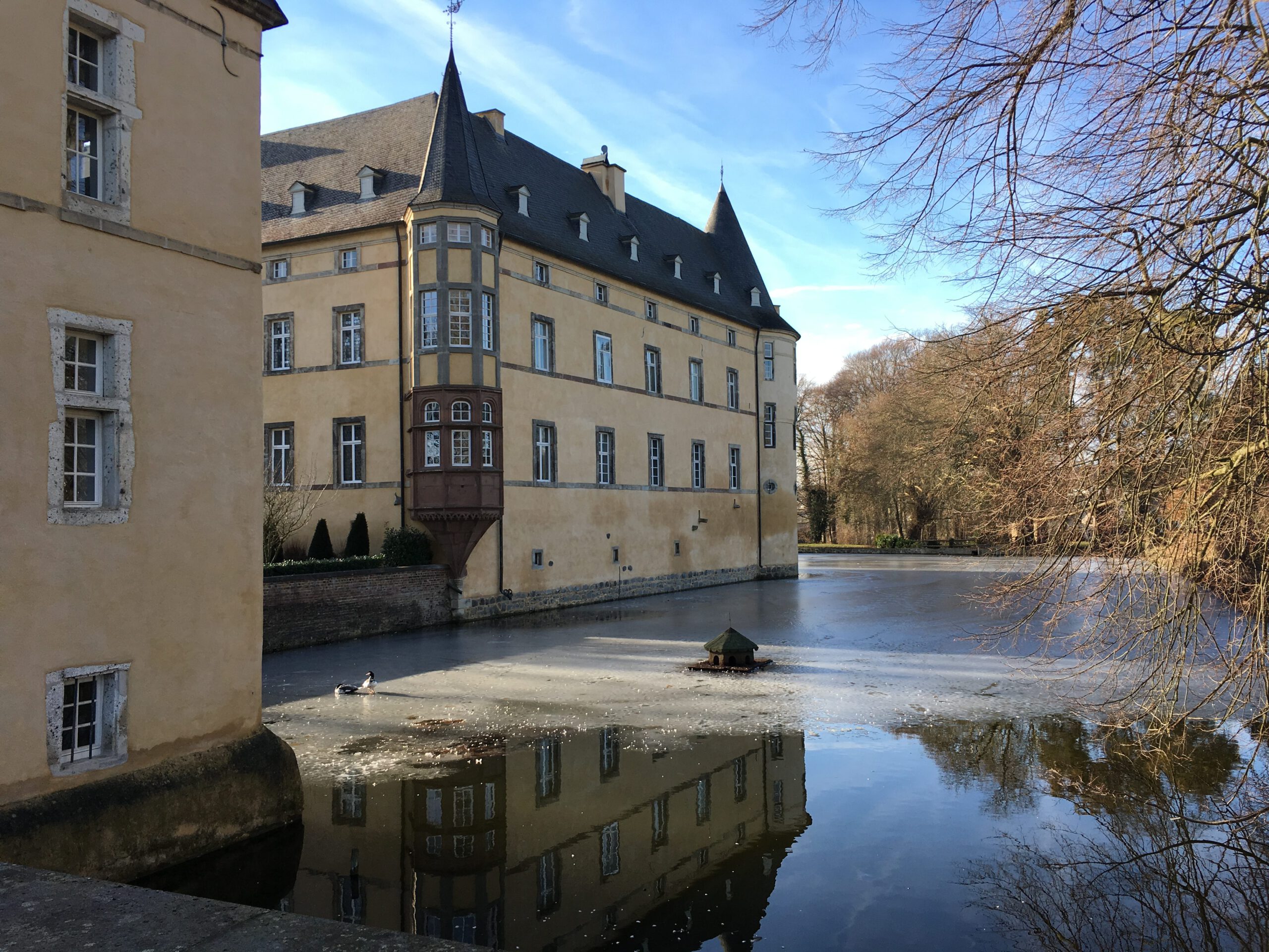 Burg Adendorf - zugefrohren