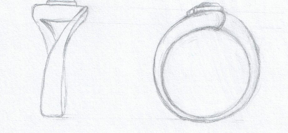 Zungenschienenring